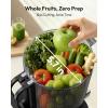 Cold Press Juicer, EUHOMY 5.5″ Extra Large Feed Chute Slow Masticating Juicer, 250W Juicer Machines, 99.6% High Juice Yield, Easy to clean, Reverse Function, for Whole Vegetables & Fruits.(Stainless Steel)