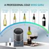 EUHOMY Wine Chiller Electric, Portable Wine Bottle Chiller for 750ml Wine & Champagne, Single Bottle Wine Cooler on Patio, Keep Cold Up to 1 Day – Extra Surprise for Wine Lovers, Gift for Him(Gray)